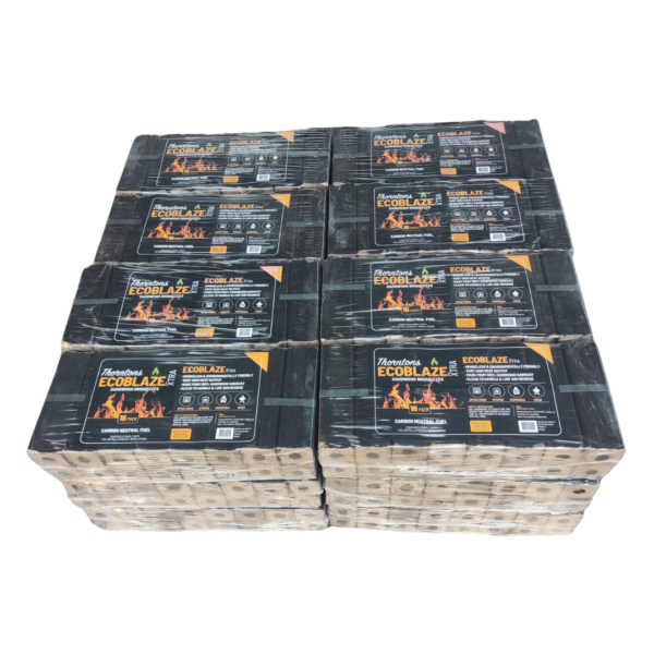 24 Pack Pini Kay Briquettes